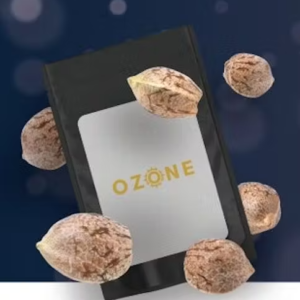 Amnesia Haze (S) Seeds 5pack- Ozone
